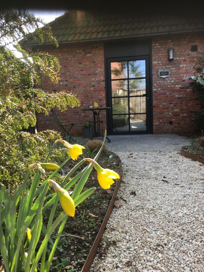 B&B Sint-Mariaburg Amberes Exterior foto