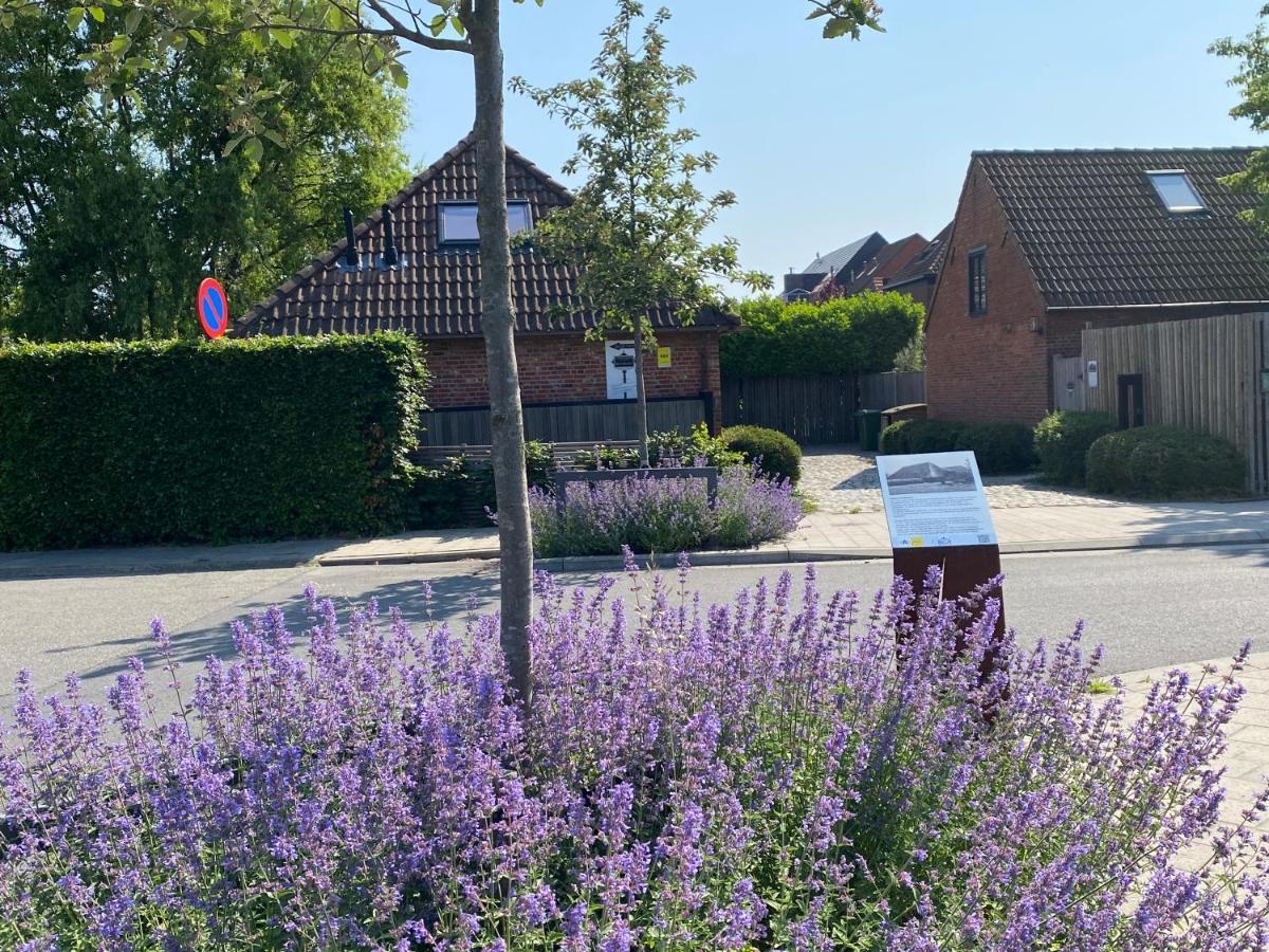 B&B Sint-Mariaburg Amberes Exterior foto